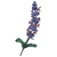 Portal Sagecontinuum