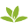 Identify Plantnet